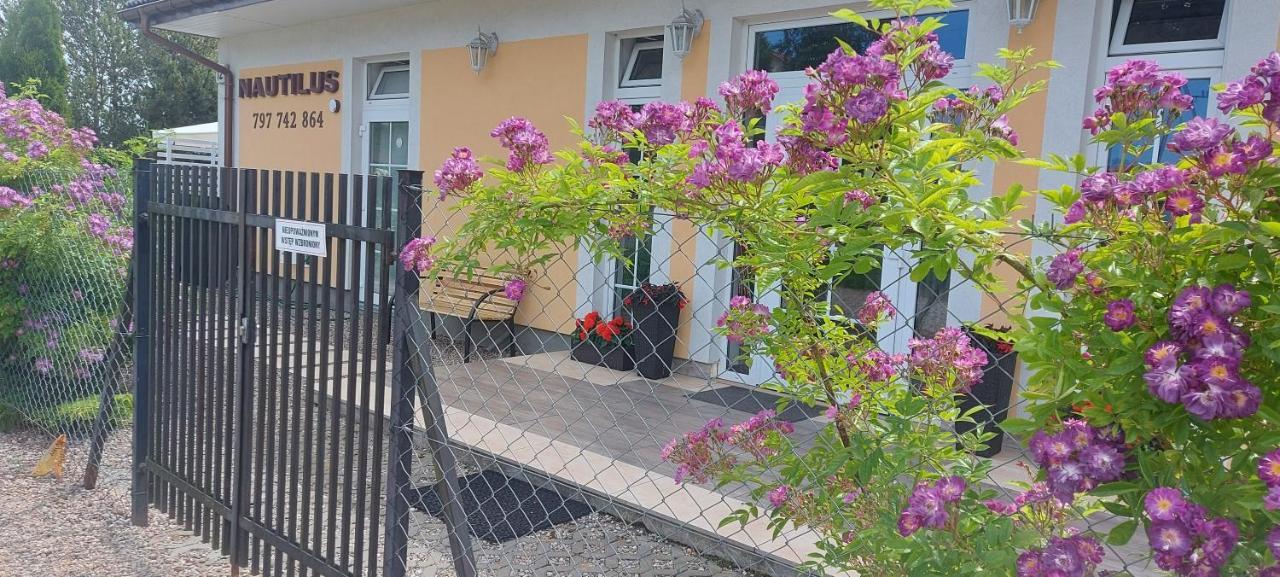 Homestay Nautilus Pearl